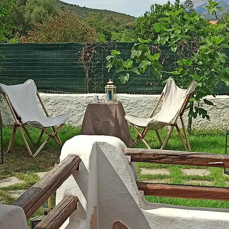 Welcomely - Matta Mare * Tanaunella